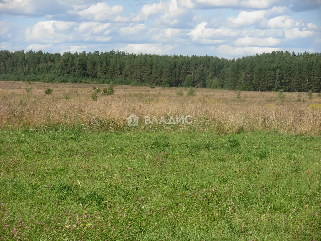 Земельный участок на продажу, Суздальский район, село Суромна - Фото 1
