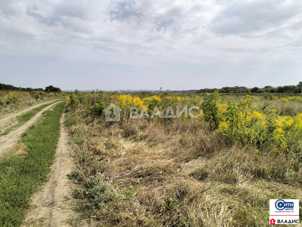 Продажа участка, Семилукский район - Фото 4