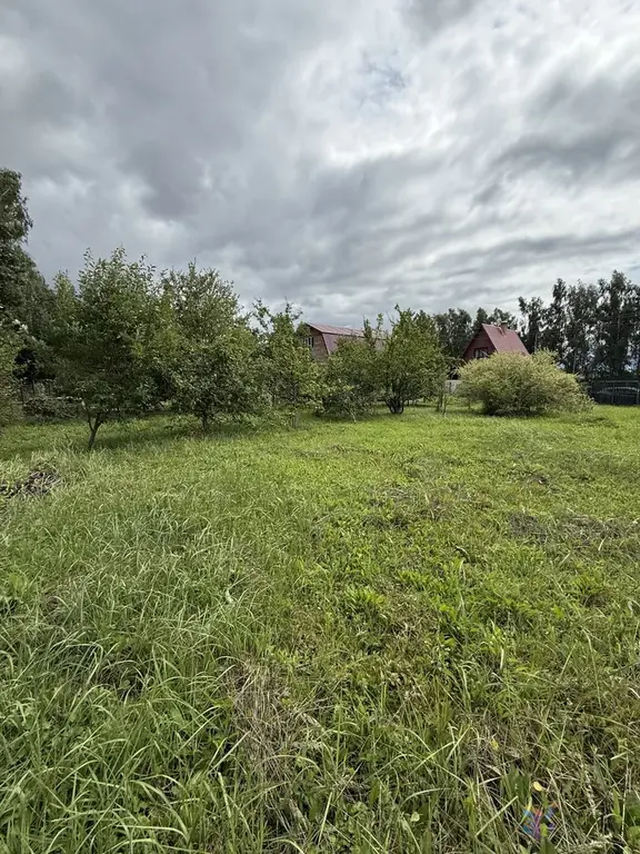 Продаю участок с хоз постройкой из железа 20 кв.м, в снт Починки - Фото 7