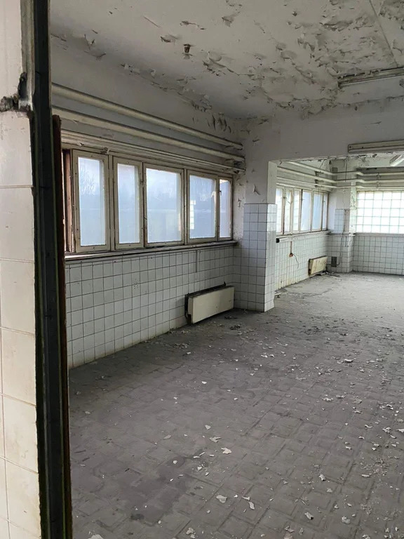 Аренда ПСН площадью 338 м2 - Фото 12