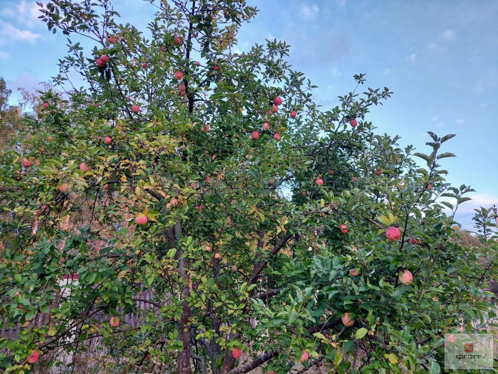 Продажа участка, Введенская Слобода, Верхнеуслонский район, ул. ... - Фото 9