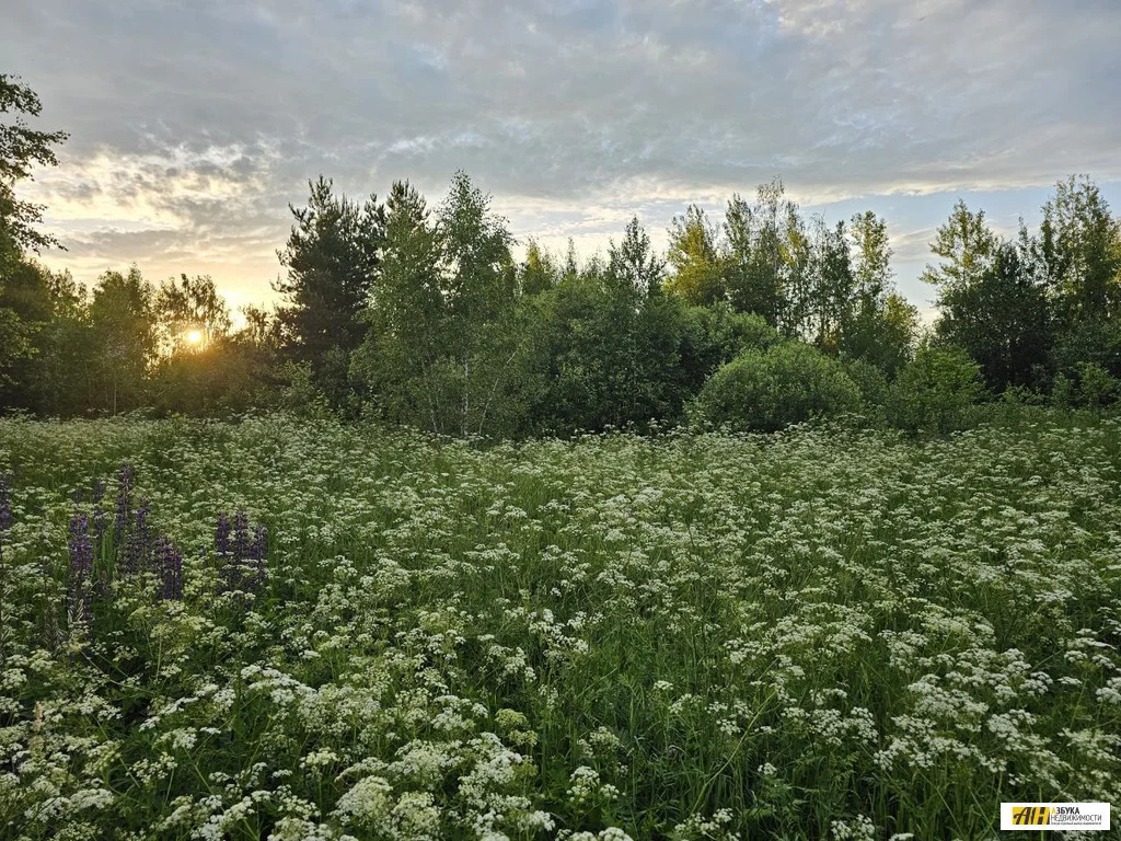 Продажа участка, Карабаново, Богородский г. о. - Фото 0