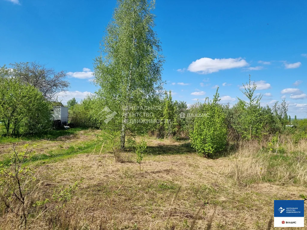 Продажа участка, Рязанский район, садоводческое товарищество Грачи - Фото 4