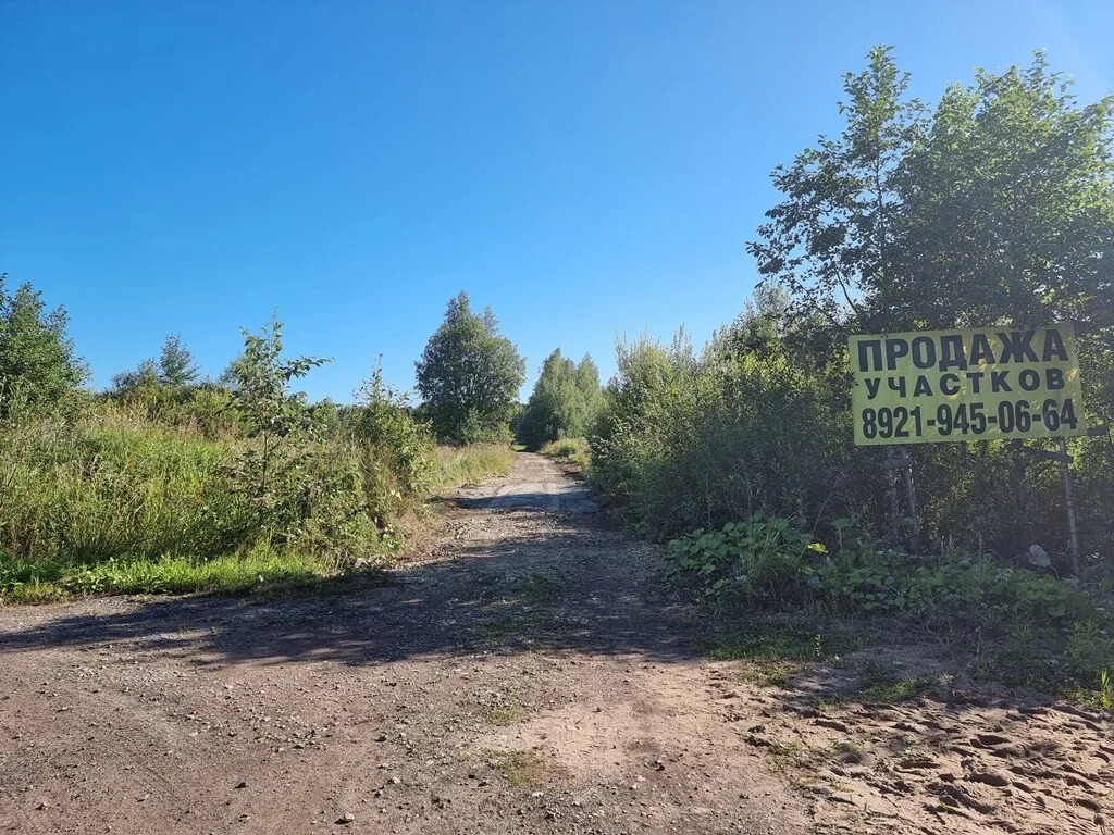 Продажа участка, Большие Пороги, Всеволожский район - Фото 17