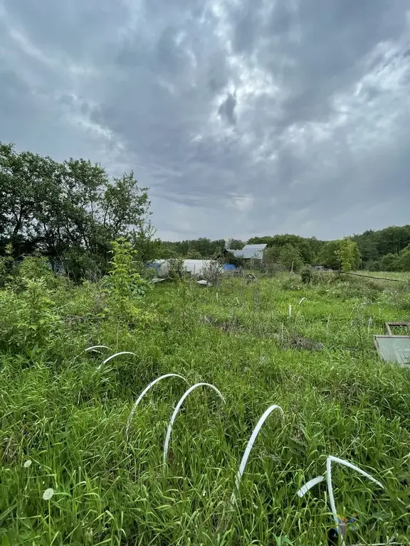 Продаю участок 15 соток, под пмж д. Госконюшня Ступинский район. - Фото 3