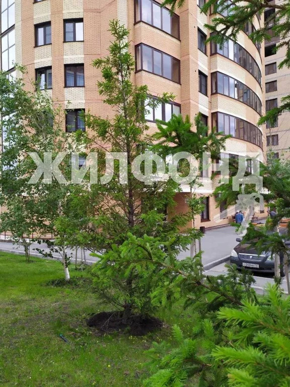 Продажа квартиры, Новосибирск, Ольги Жилиной - Фото 22