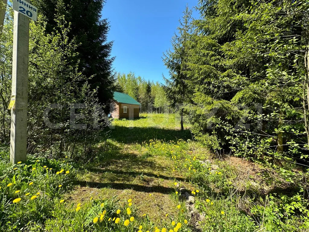 продажа дома, снт надежда массива радофинниково, тосненский район, снт . - Фото 27