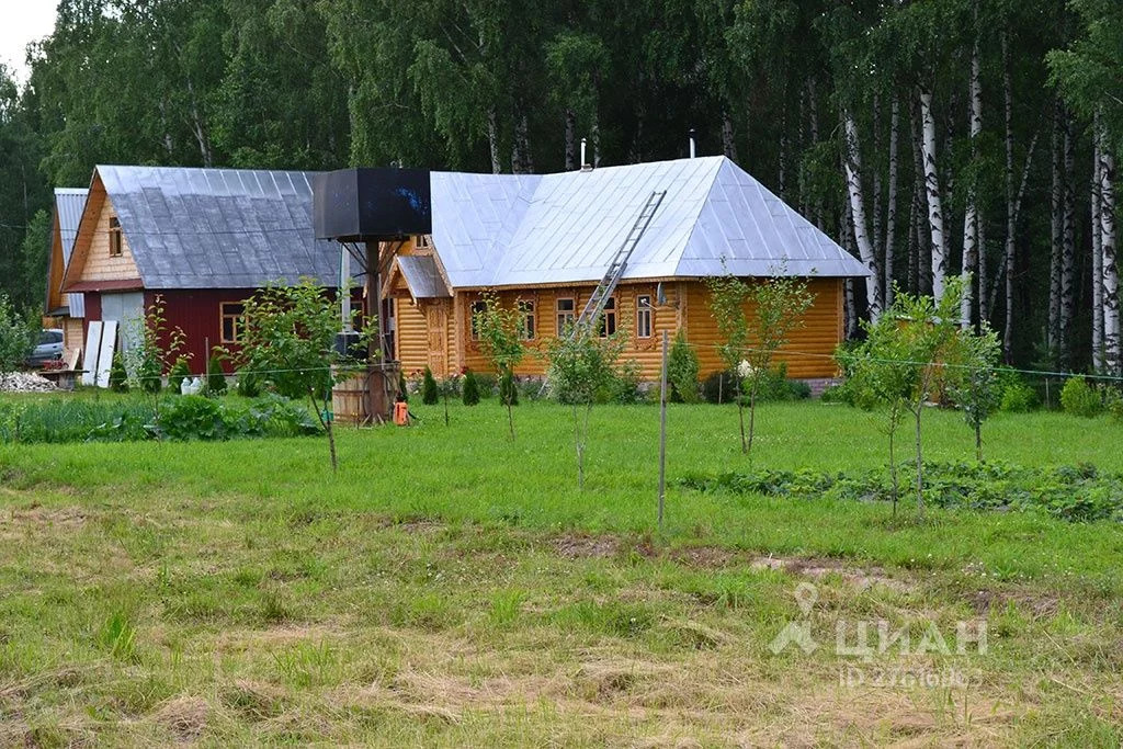 Поселок полевой. Арманиха Нижегородская область. Арманиха Нижегородская область Дальнеконстантиновский. Деревня Арманиха. Озеро Арманиха Нижегородская область.