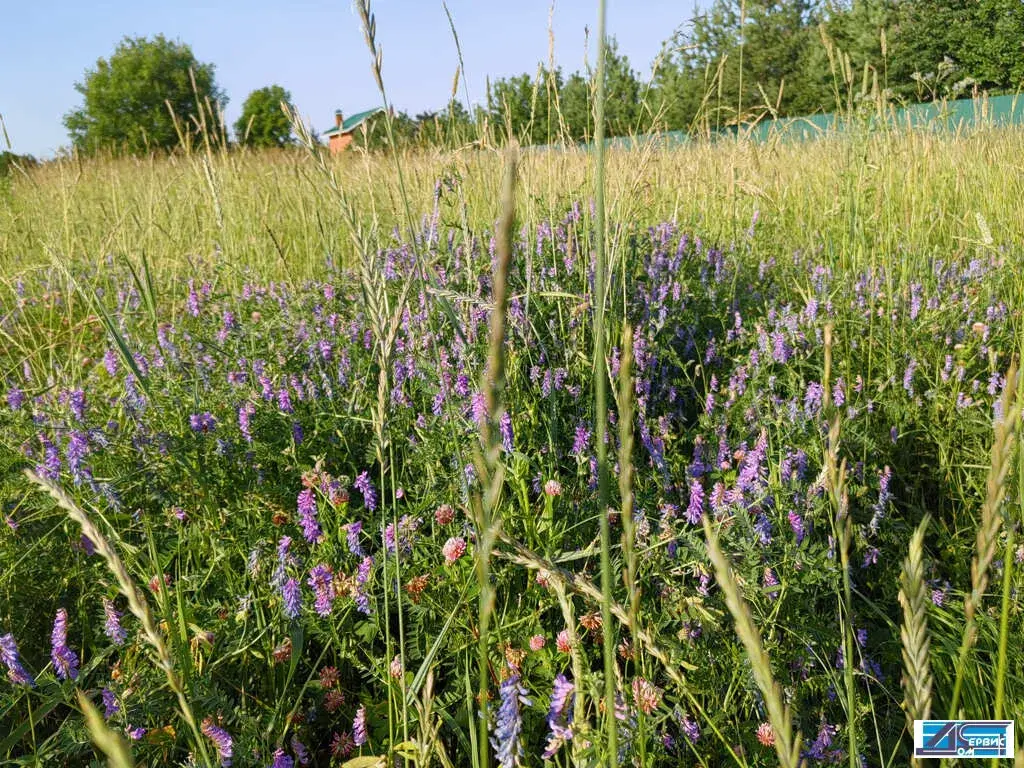 продается земельный участок - Фото 1