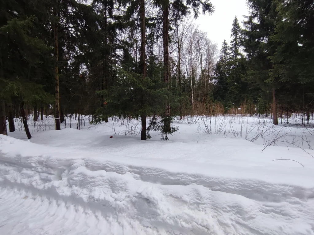 Продажа участка, НИИ Радио, Одинцовский район, Тыльная улица - Фото 9