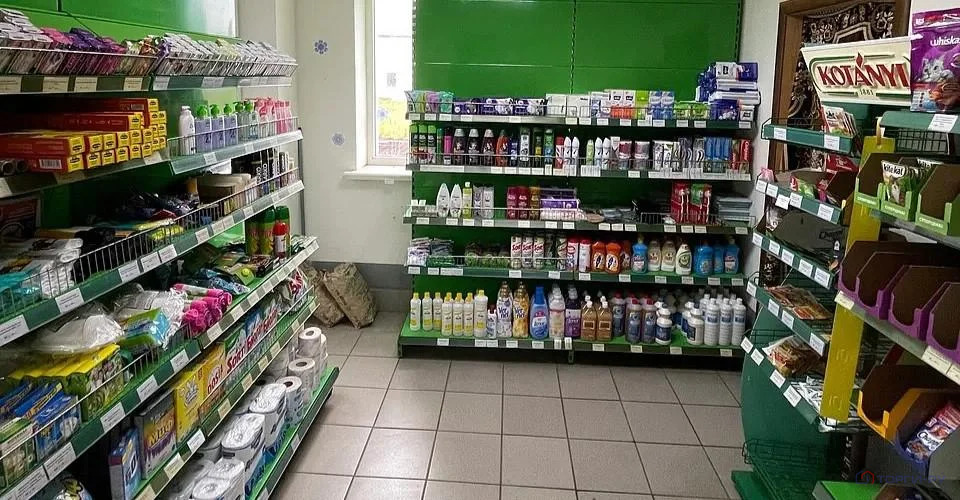 Продажа ПСН, Карманово, Зарайский район, ул. Центральная - Фото 2