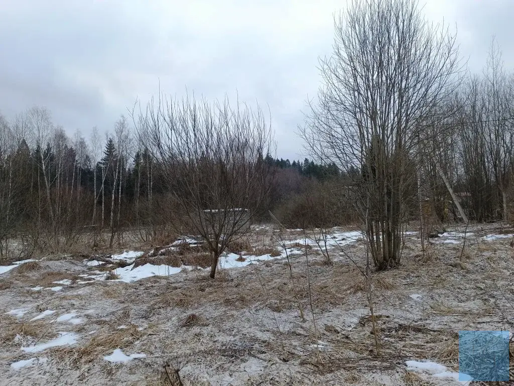 20 соток ИЖС в д. Судниково - Фото 7