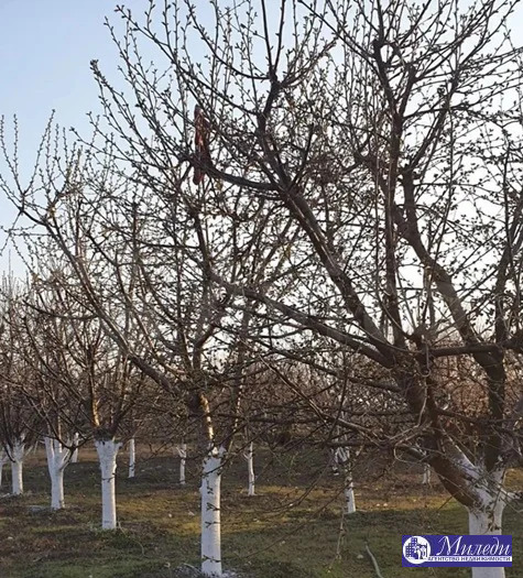 Продажа участка, Батайск - Фото 1