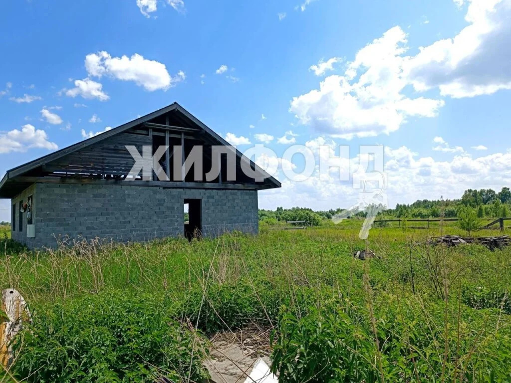 Продажа дома, Большой Оеш, Колыванский район, ул. Суворова - Фото 1