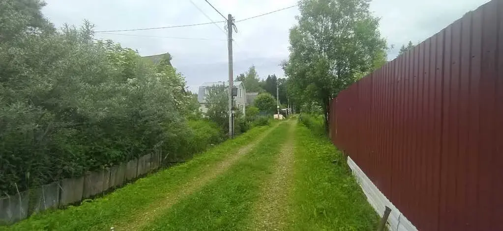 Участок с выходом в лес - Фото 4