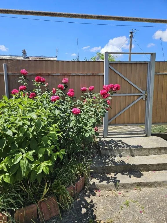 Продажа дома, Старонижестеблиевская, Красноармейский район, ул. ... - Фото 2