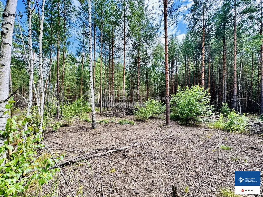 Продажа участка, Мурмино, Рязанский район - Фото 2
