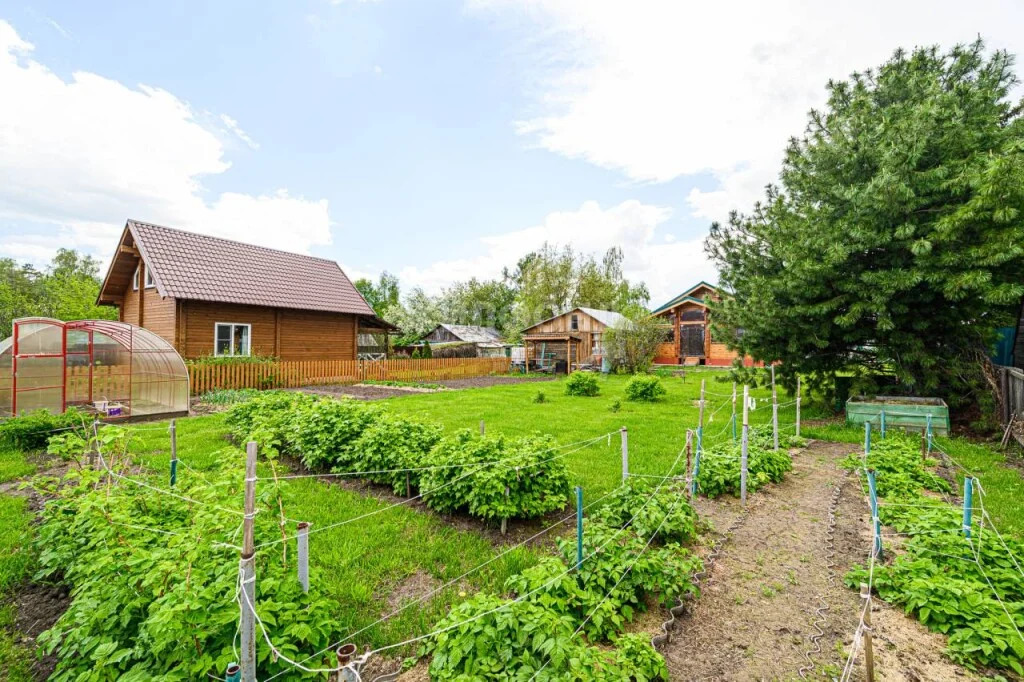 Продажа дома, Боровое, Новосибирский район, ул. Рабочая - Фото 39