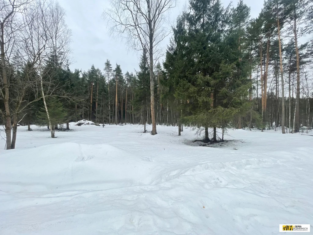 Продажа участка, Кишкино, Щелковский район - Фото 0