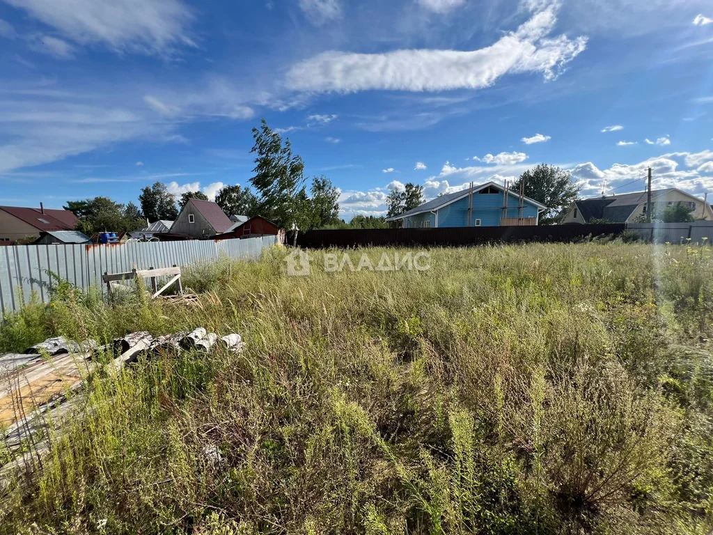 Богородский городской округ, деревня Шульгино, Центральная улица,  ... - Фото 4