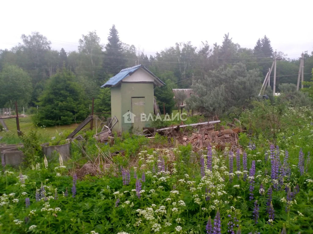 городской округ Солнечногорск, СНТ Культура,  земля на продажу - Фото 6