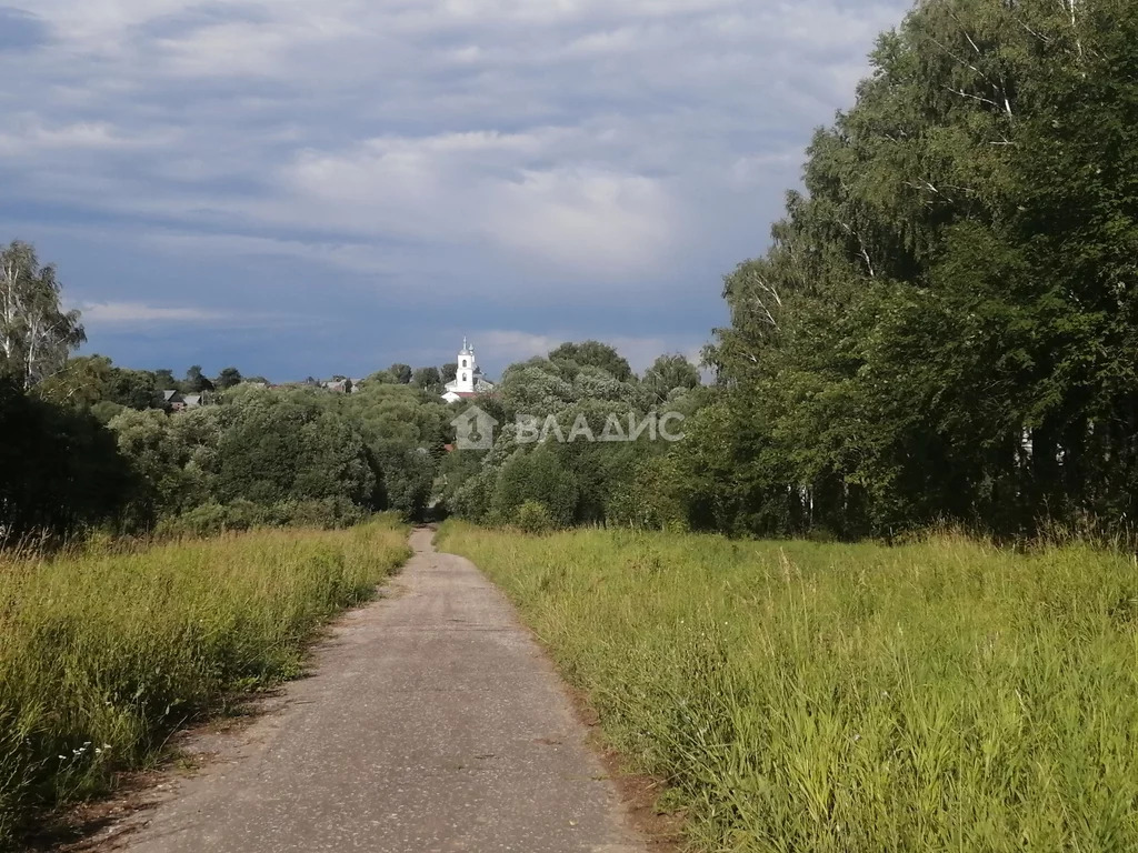 Суздальский район, село Брутово,  земля на продажу - Фото 9