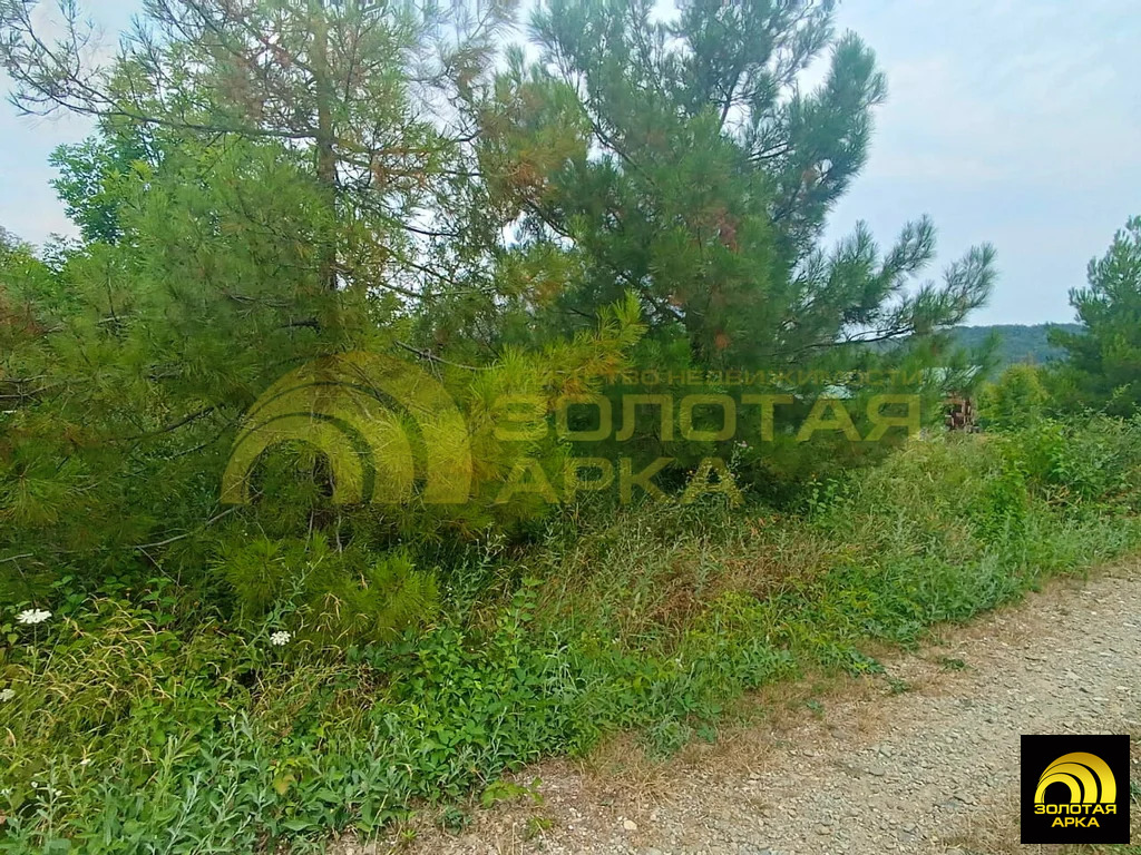 Продажа участка, Чибий, Северский район - Фото 11