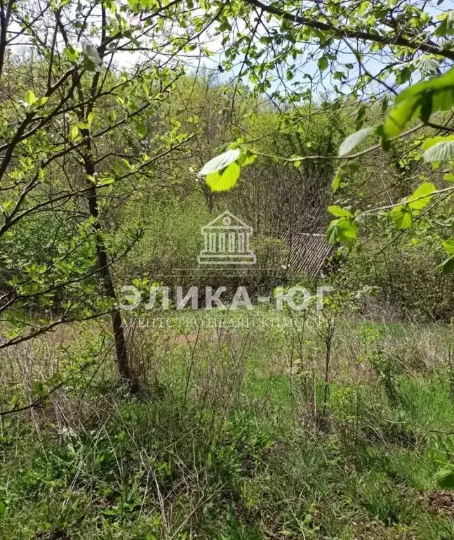 Продажа участка, Пляхо, Туапсинский район, ул. Лесная - Фото 5
