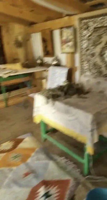 Курганская область Каргапольский р-он с. Брылино, ул. А. Антонова 18. - Фото 16