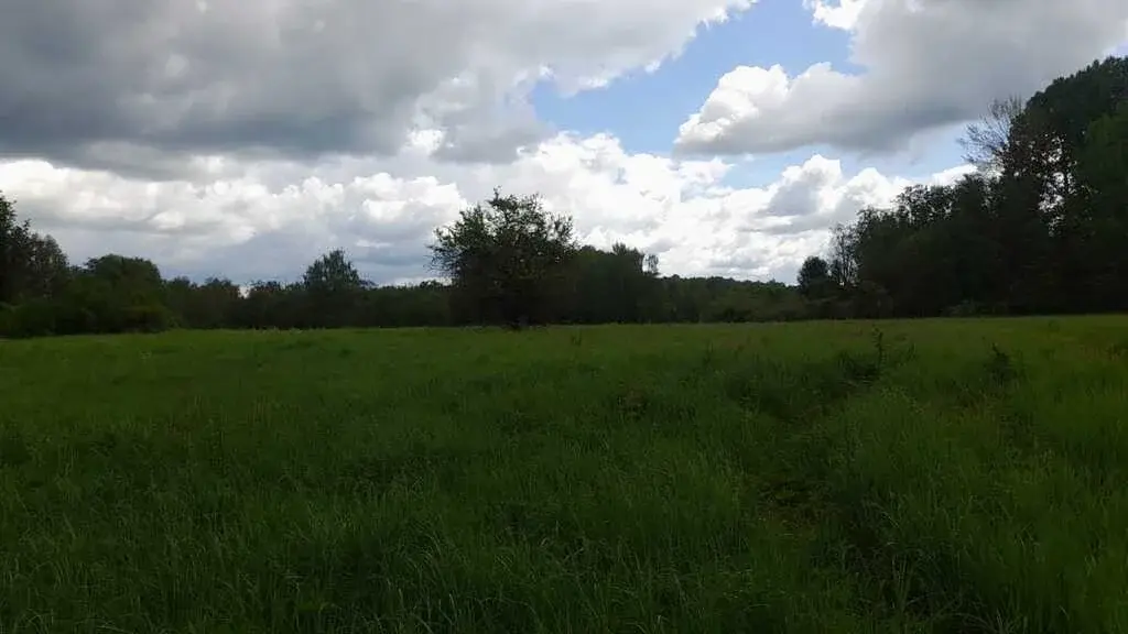 Продажа 38 га на первой линии Вазузского Тверская обл.Зубцовский р-н - Фото 7