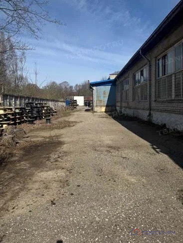 Продажа ПСН, Черняховск, Черняховский район, ул. Прегельная - Фото 3