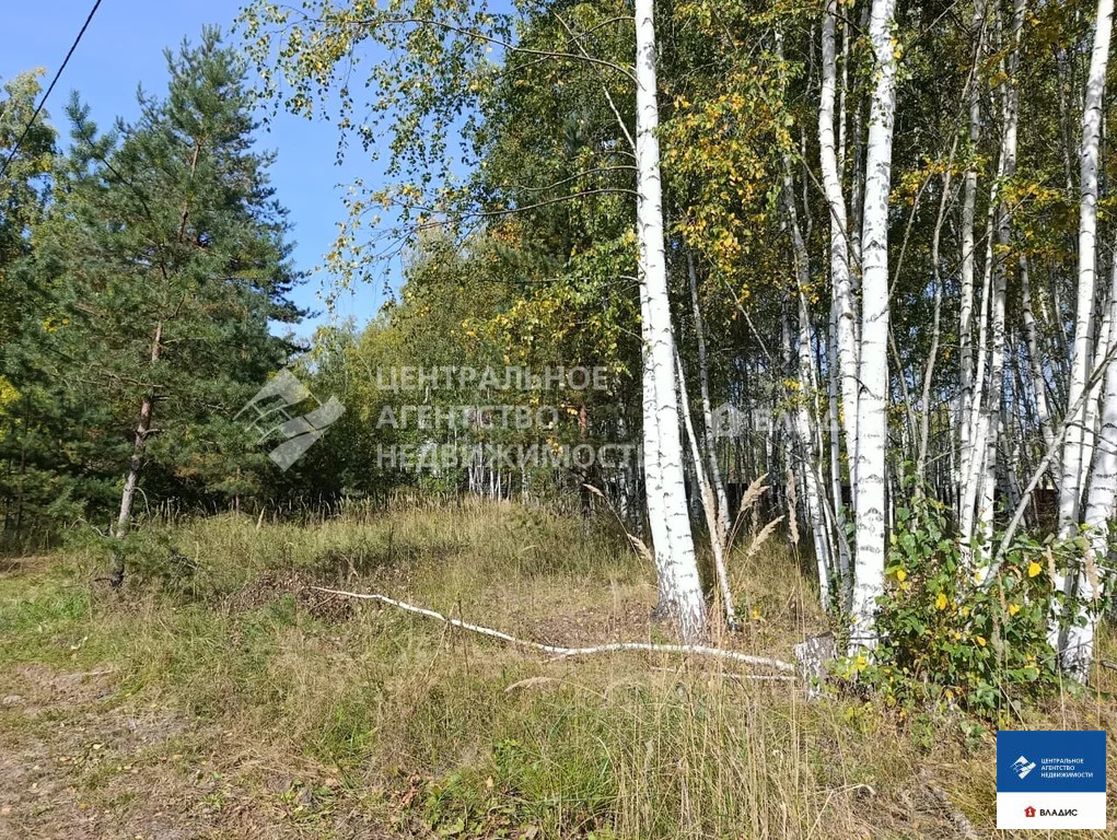 Продажа участка, Рязанский район, садоводческое товарищество Адвокат - Фото 2