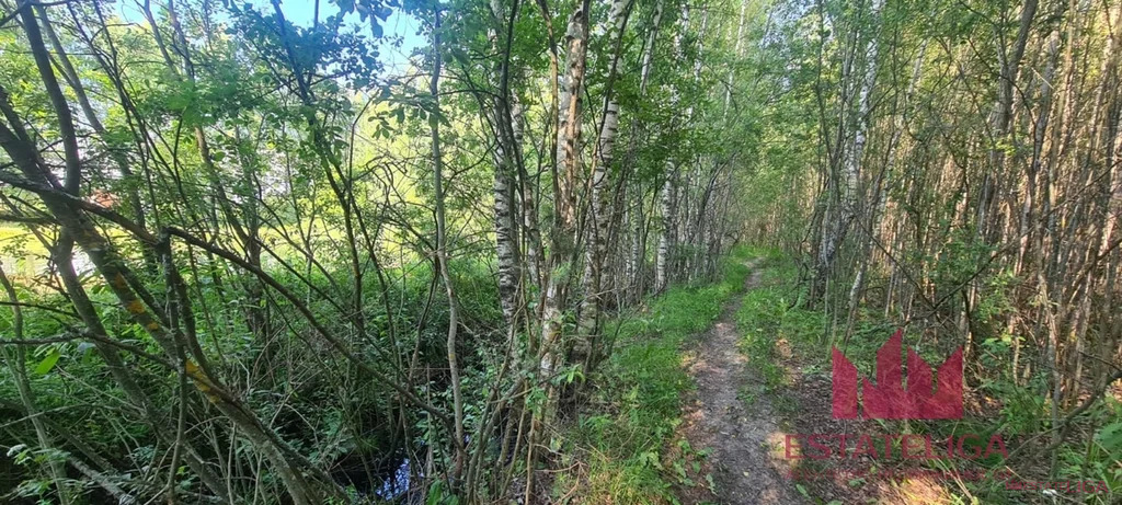Продажа участка, Конаковский район, Третья улица - Фото 11
