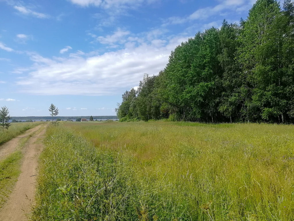 Продажа участка, Солнечное, Приозерский район, ул. Прибрежная - Фото 6