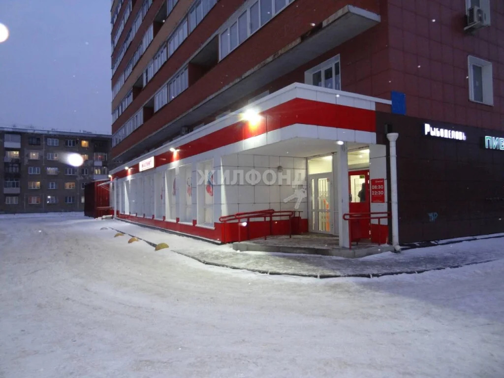 Продажа квартиры, Новосибирск, ул. Ударная - Фото 19