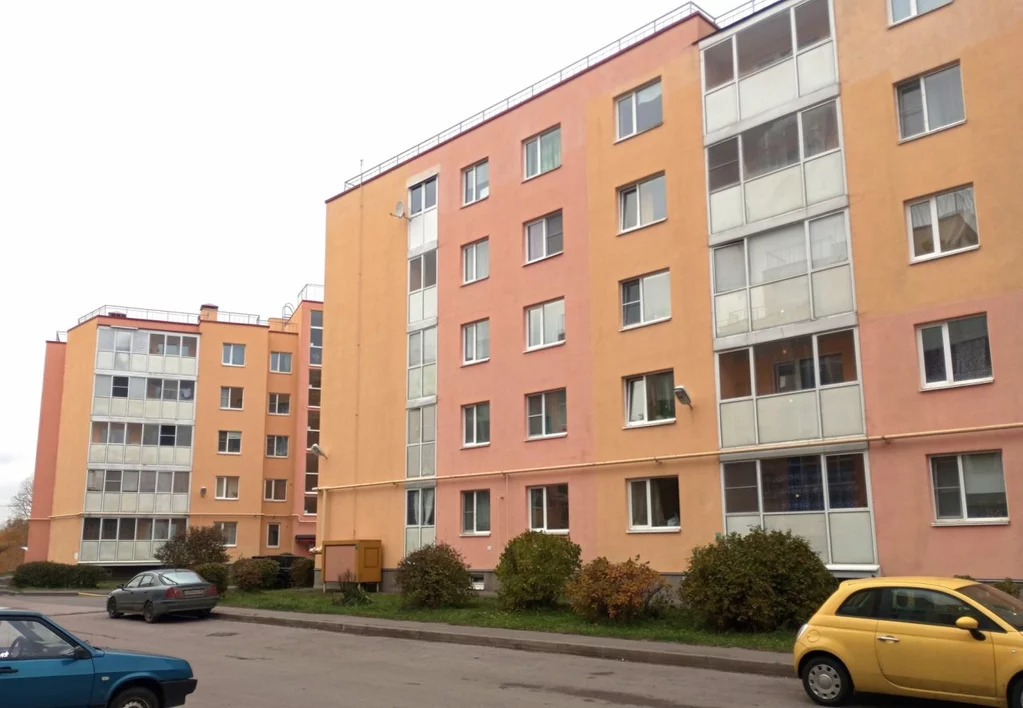 Вторичка в новом петергофе. Вторичка в новом петергофе