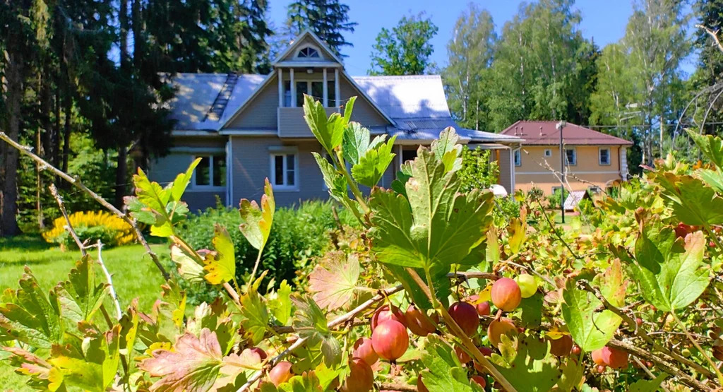 Продажа участка, Апрелевка, Наро-Фоминский район, ул. Кутузова - Фото 14