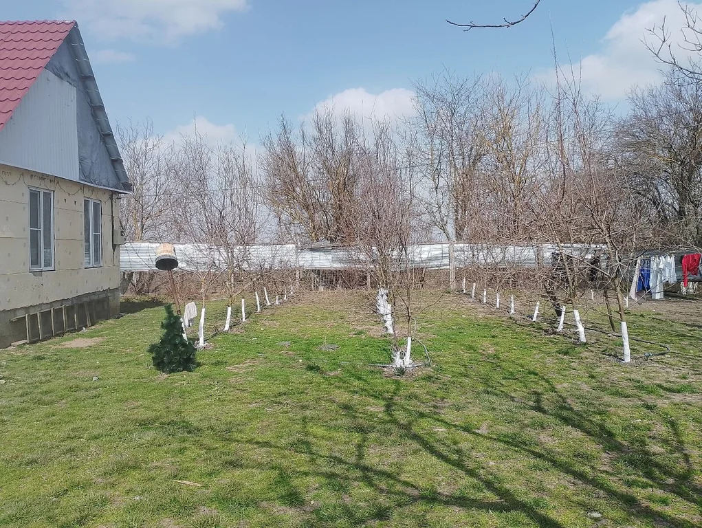 Продажа дома, Старонижестеблиевская, Красноармейский район, ул. ... - Фото 9