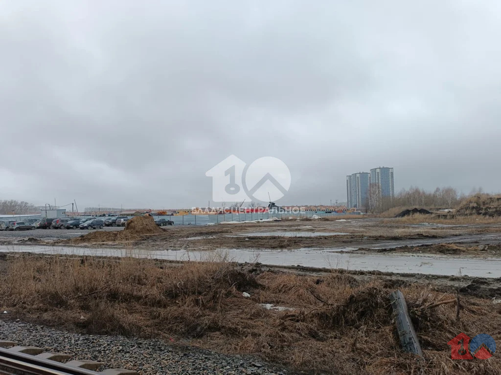 Новосибирский район, посёлок Элитный,  земля на продажу - Фото 3