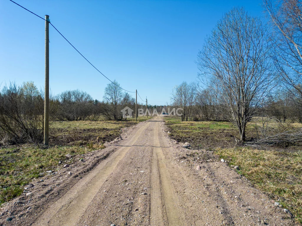 Земельный участок на продажу, Выборгский район, посёлок Вещево - Фото 8