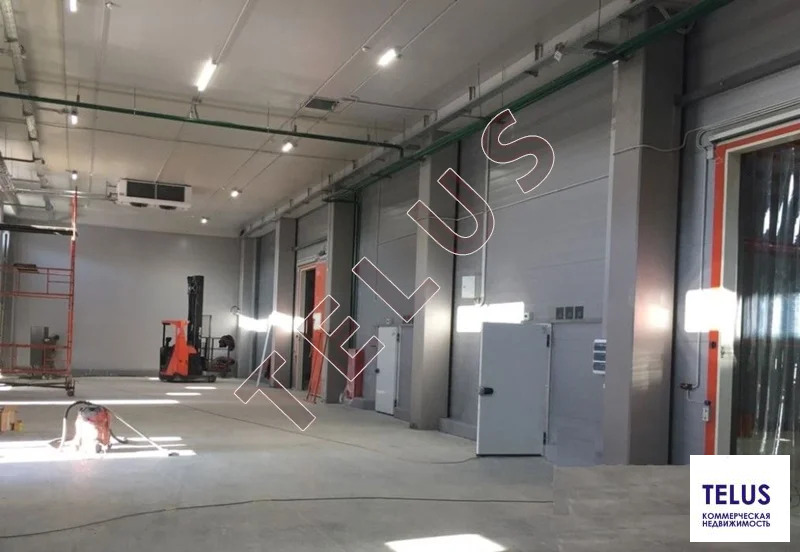 МО, Раменское, ул Трудовая, 9837.7 м2, Склад (ном. объекта: 8259) - Фото 7