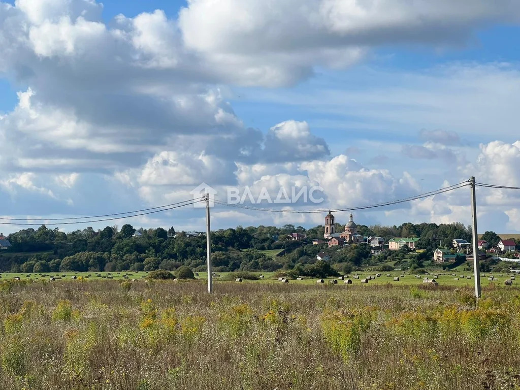 Суздальский район, село Баскаки, Рождественская улица,  дом на продажу - Фото 46