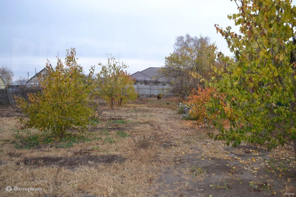 Балаково Купить Дом В Селе Красный Яр