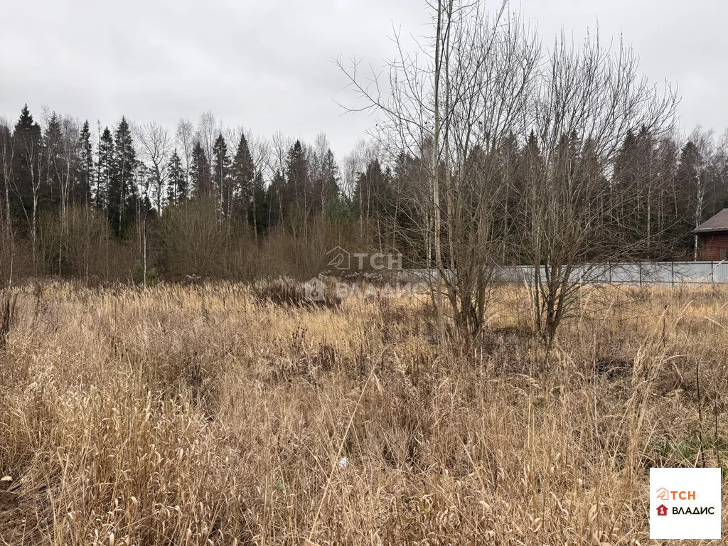 Продажа участка, Щелковский район - Фото 5