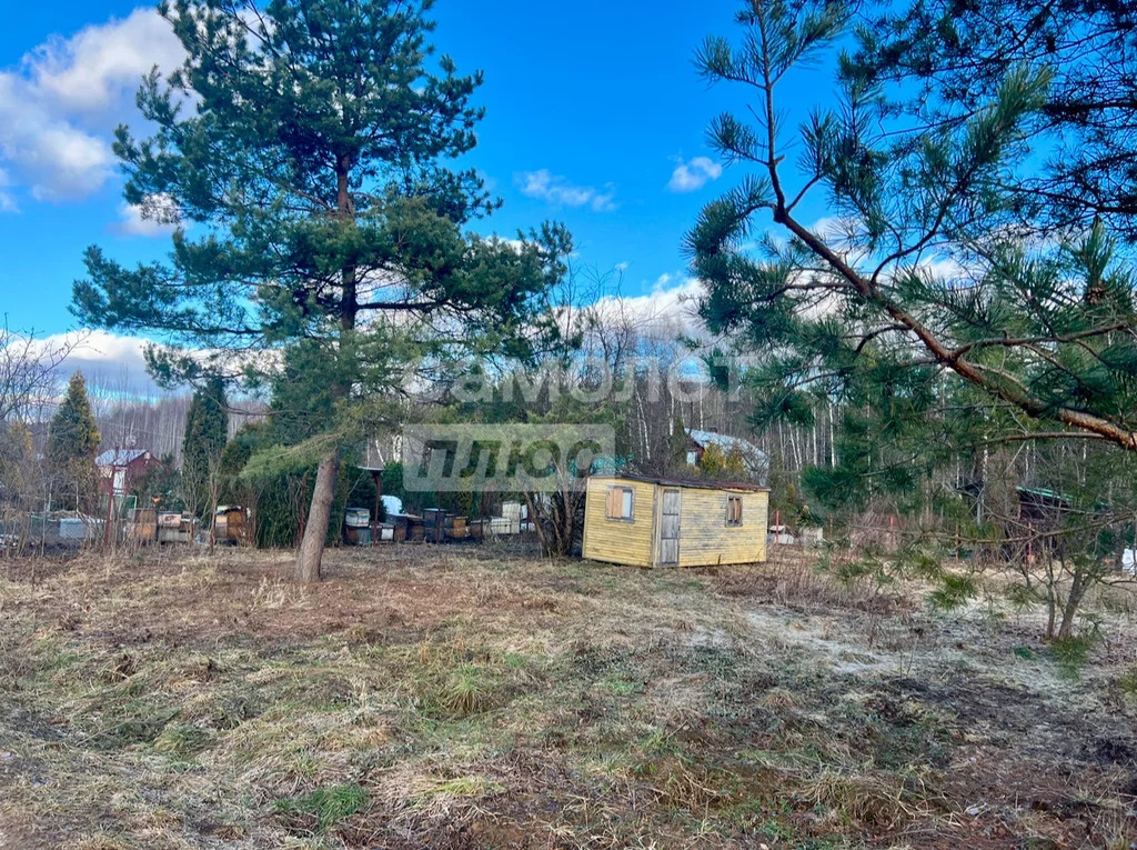 Продажа участка, Талдомский район, Журавли тер. СНТ. - Фото 9