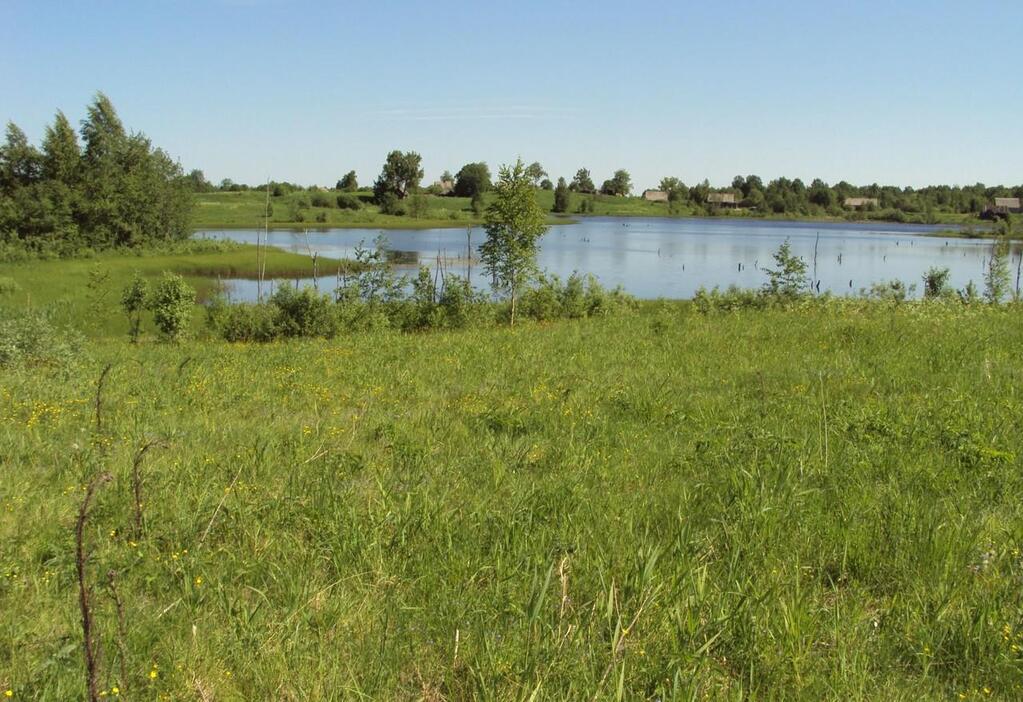 Деревня сысоево новгородская обл фото