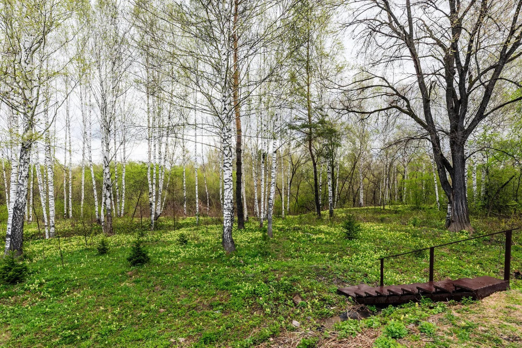 Продажа дома, Кульчаны, Новокузнецкий район, ул. Кондомская - Фото 42