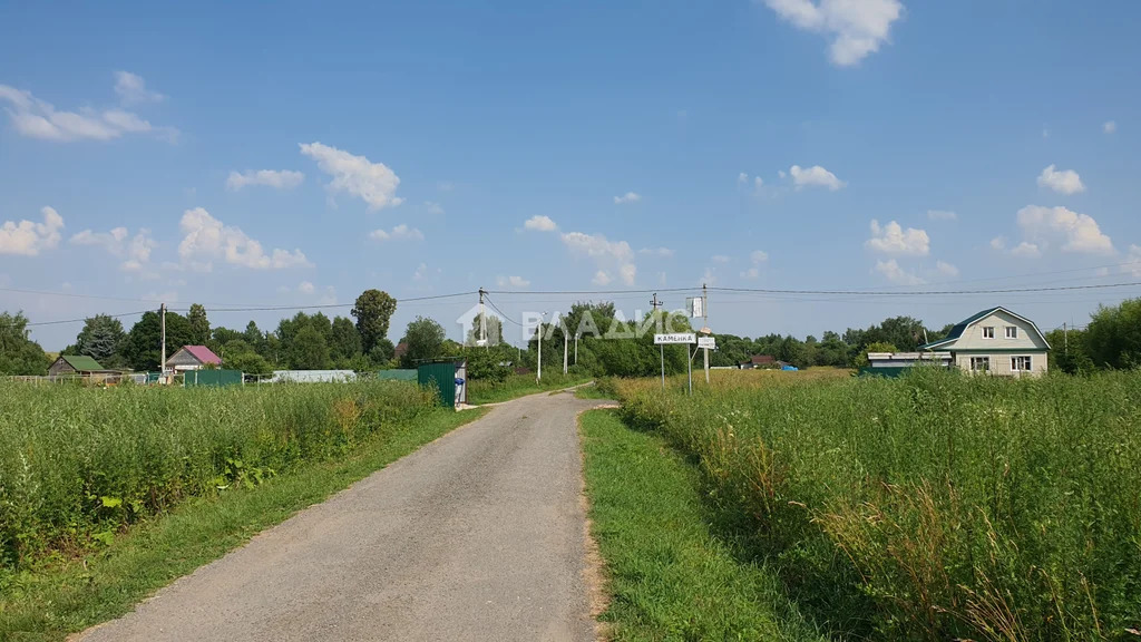 городской округ Ступино, посёлок Каменка, Раздольная улица,  земля на ... - Фото 9