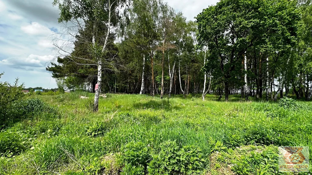 Купить Участок В Раменском Районе Верея