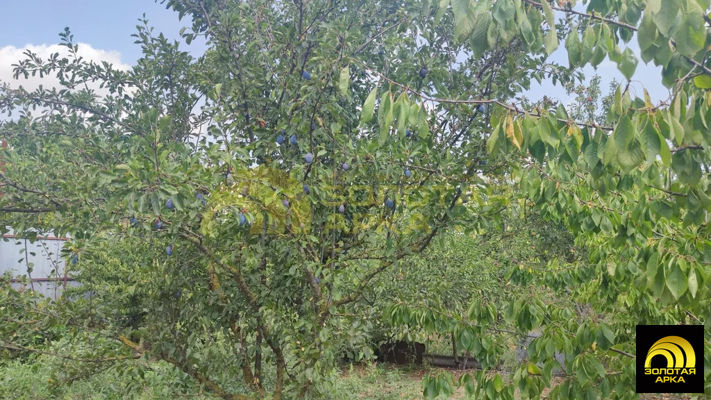 Продажа участка, Новоукраинский, Крымский район, ул. Лермонтова - Фото 9